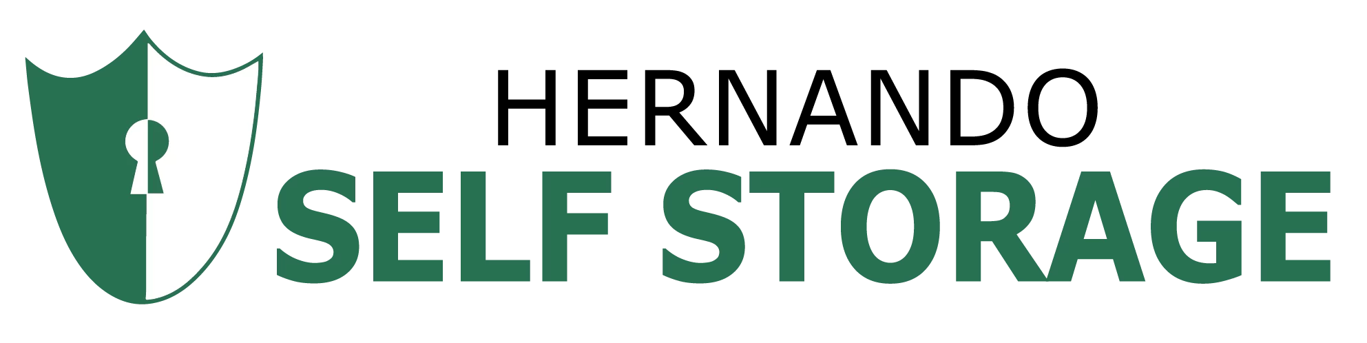 Hernando Self Storage logo.